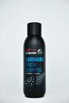 carnauba.jpg